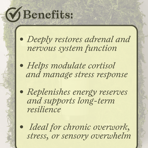 Graphic showing key benefits of Subluna Adrenal RX adrenal and stress support formula, available at Born Primal in Australia
