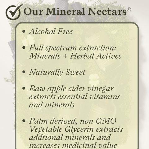 Infographic explaining Subluna Mineral Nectars extraction and formulation process, highlighting alcohol-free and full-spectrum mineral support from Born Primal in Australia